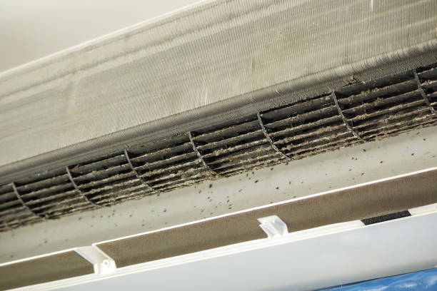 Best Air Quality Test  in Rockmart, GA